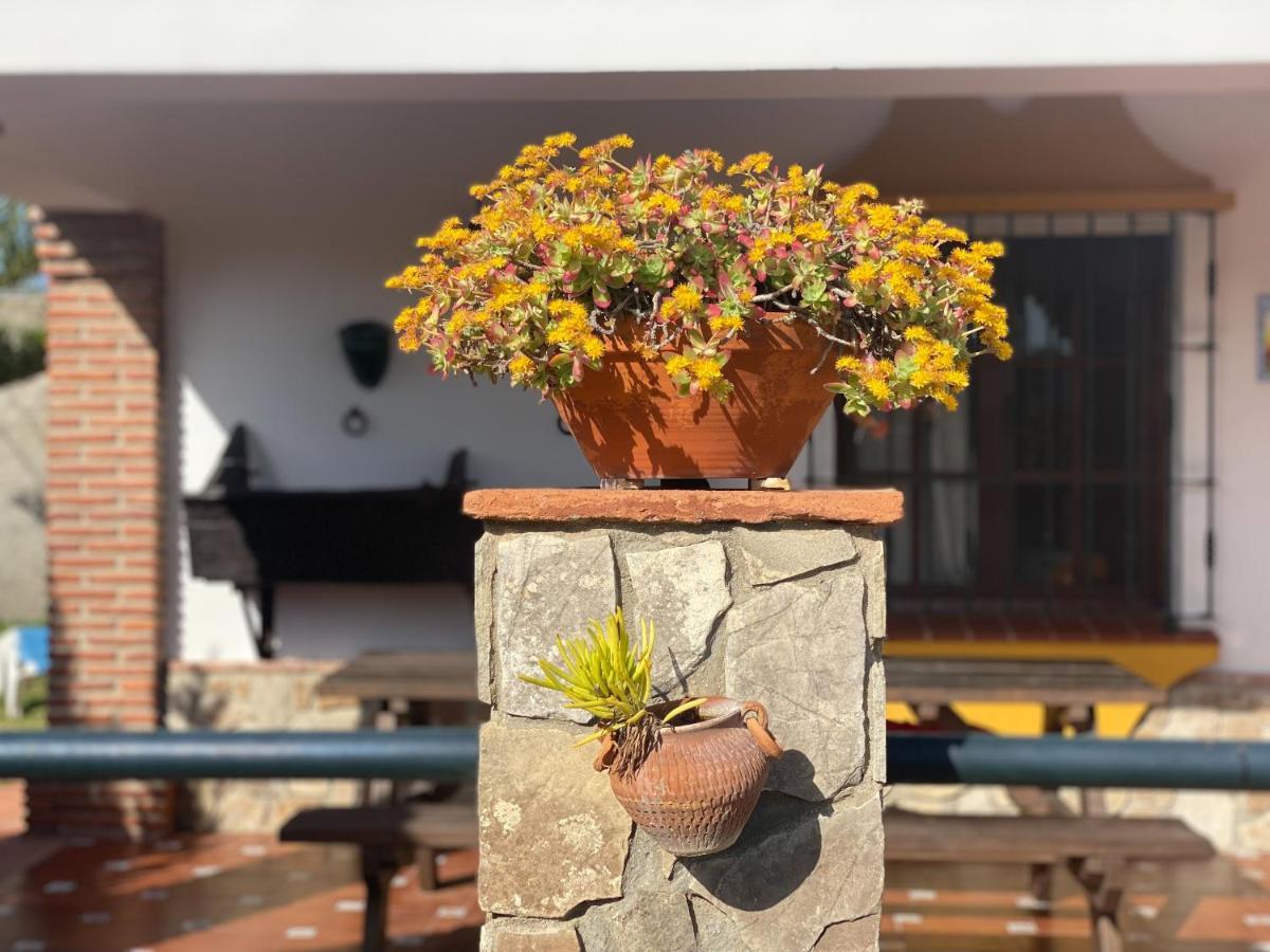 Casas Guemon Guest House Zahora Exterior photo